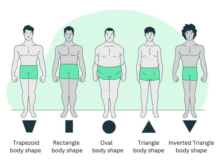Body Shape